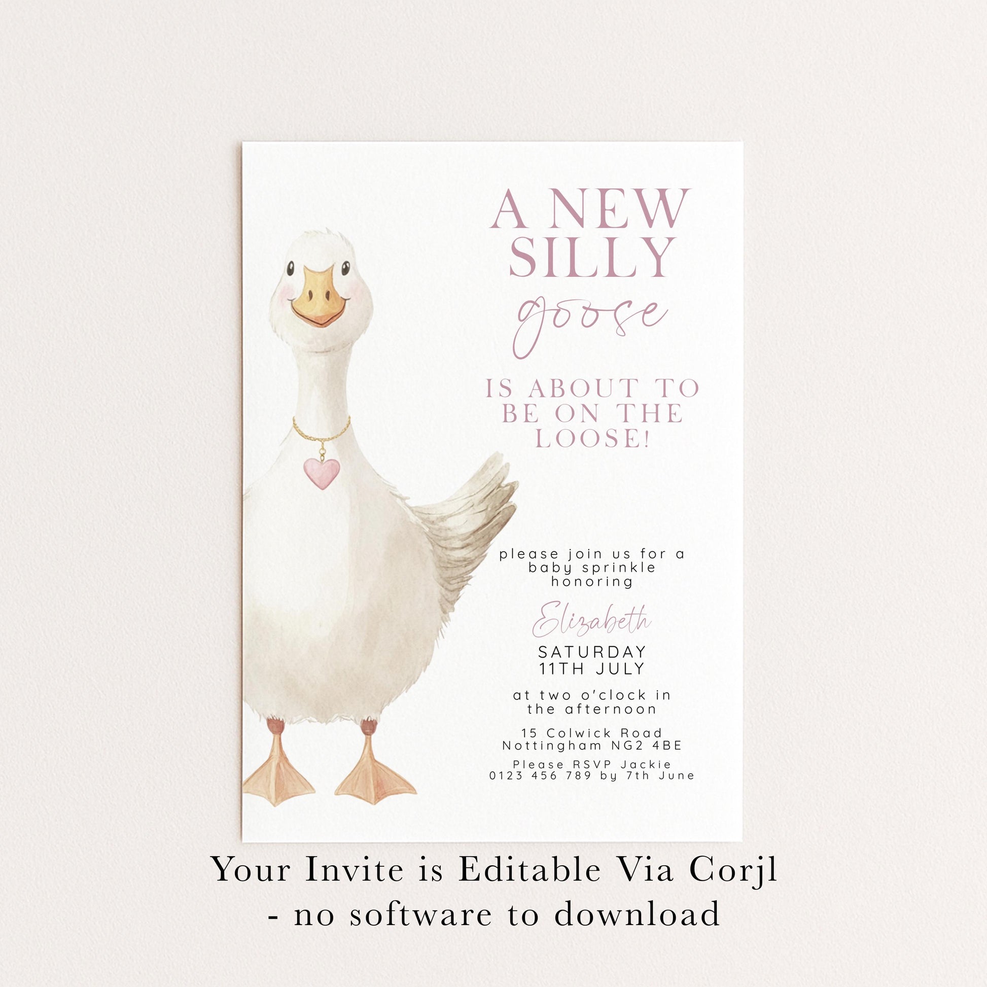 Baby Sprinkle Invitation Goose Theme, Pink Baby Shower Invite, Cute Baby Sprinkle, Editable Template SG21