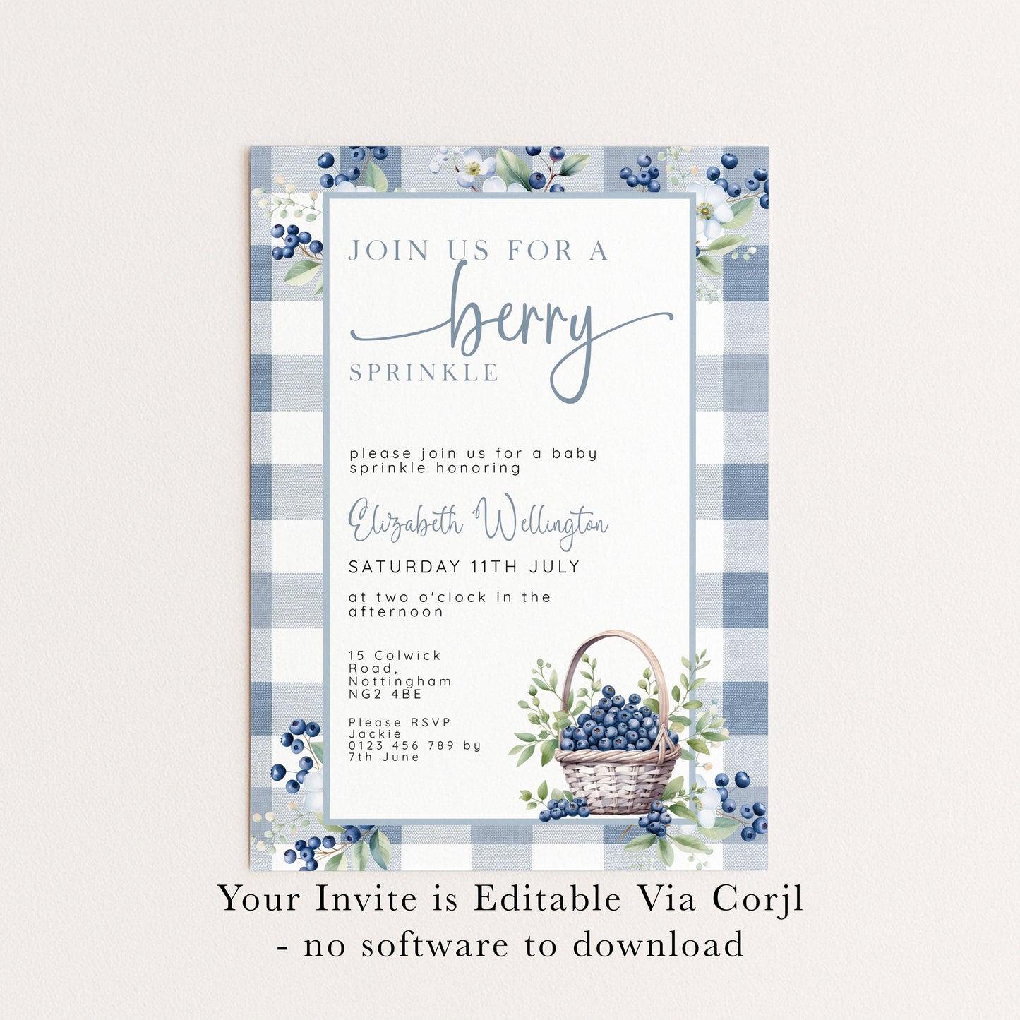 Berry Sprinkle Baby Shower Invitation Download – Blueberry Gingham Digital Download Invite, Cute Editable Baby Sprinkle Template BL21