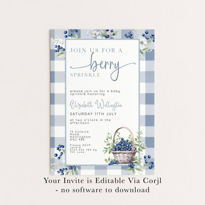 Berry Sprinkle Baby Shower Invitation Download – Blueberry Gingham Digital Download Invite, Cute Editable Baby Sprinkle Template BL21