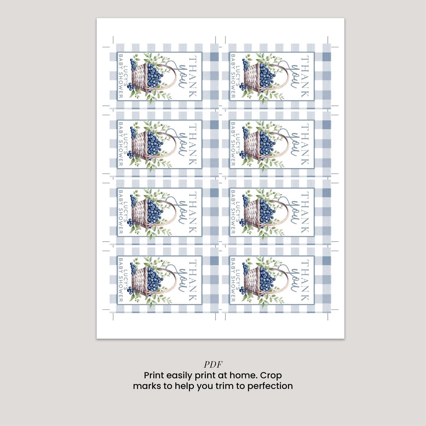 Blueberry Baby Shower Thank You Tag – Berry Sweet Favor Tag – Editable Template – Blue Gingham Corjl Tag – Printable Baby Shower Tag BL21