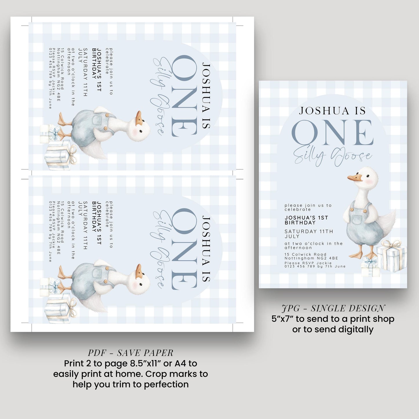 Silly Goose Birthday Invitation Boy Blue Gingham, Editable Corjl Template, One Silly Goose 1st Birthday Invite, Digital Download SG21