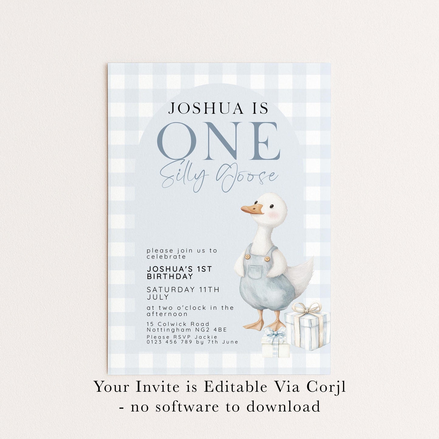 Silly Goose Birthday Invitation Boy Blue Gingham, Editable Corjl Template, One Silly Goose 1st Birthday Invite, Digital Download SG21
