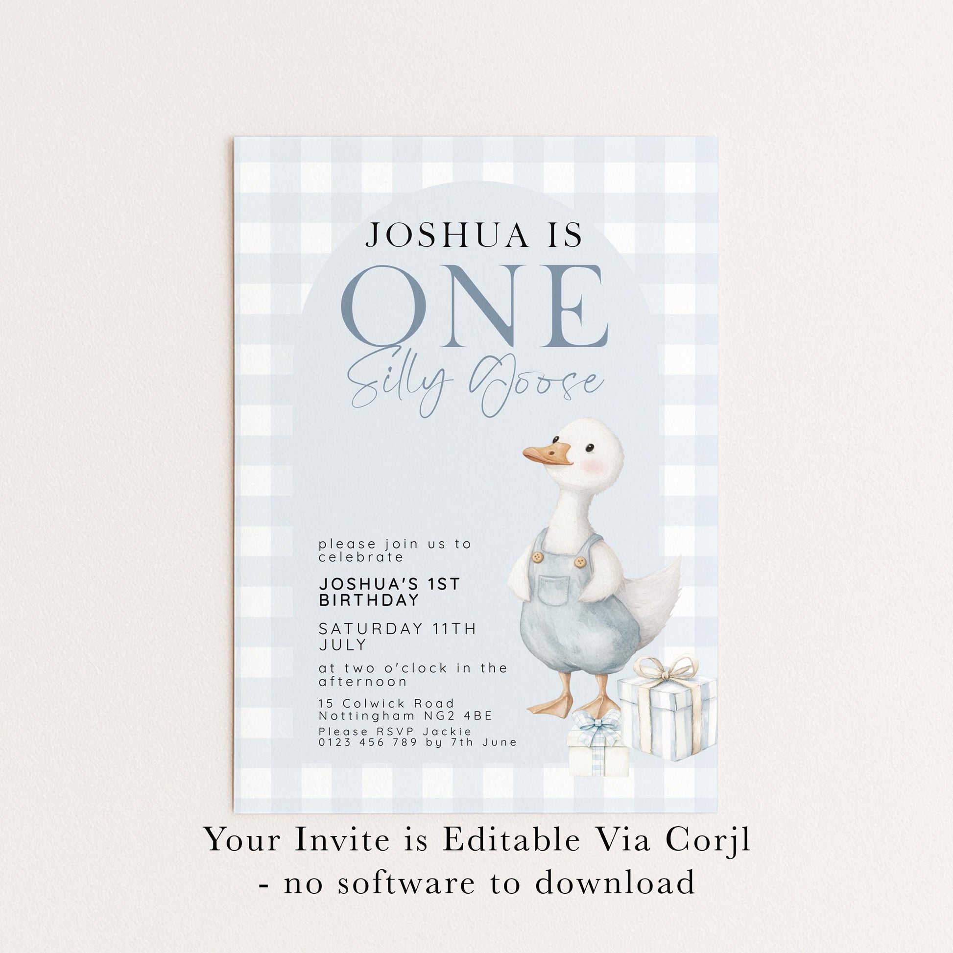 Silly Goose Birthday Invitation Boy Blue Gingham, Editable Corjl Template, One Silly Goose 1st Birthday Invite, Digital Download SG21
