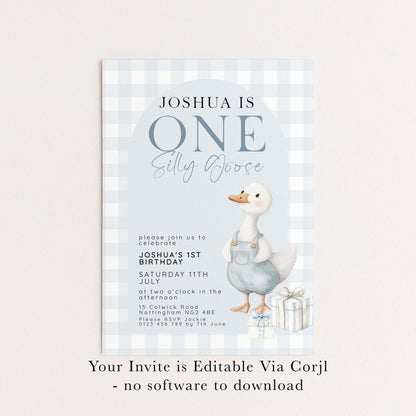 Silly Goose Birthday Invitation Boy Blue Gingham, Editable Corjl Template, One Silly Goose 1st Birthday Invite, Digital Download SG21