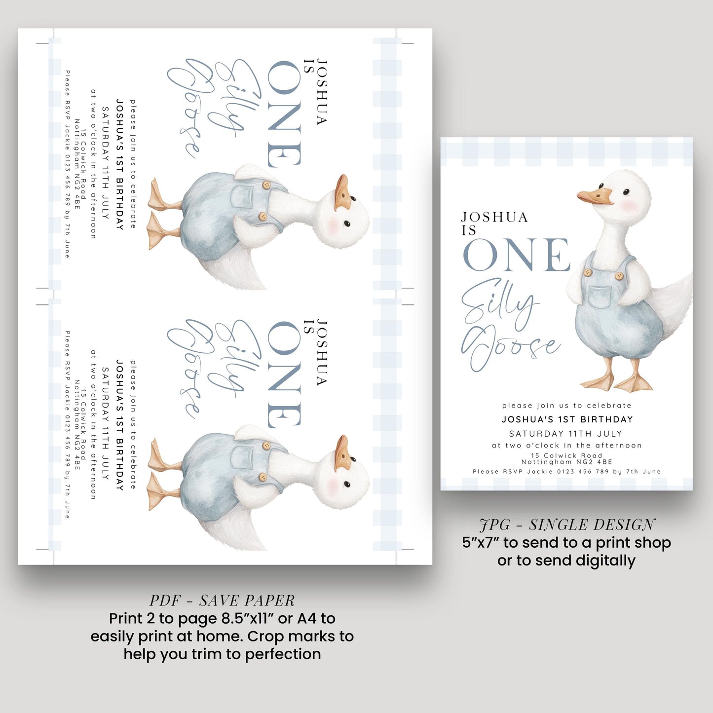 One Silly Goose Birthday Invitation Boy Blue Gingham, Editable Corjl Template, One Silly Goose 1st Birthday Invite, Digital Download SG21