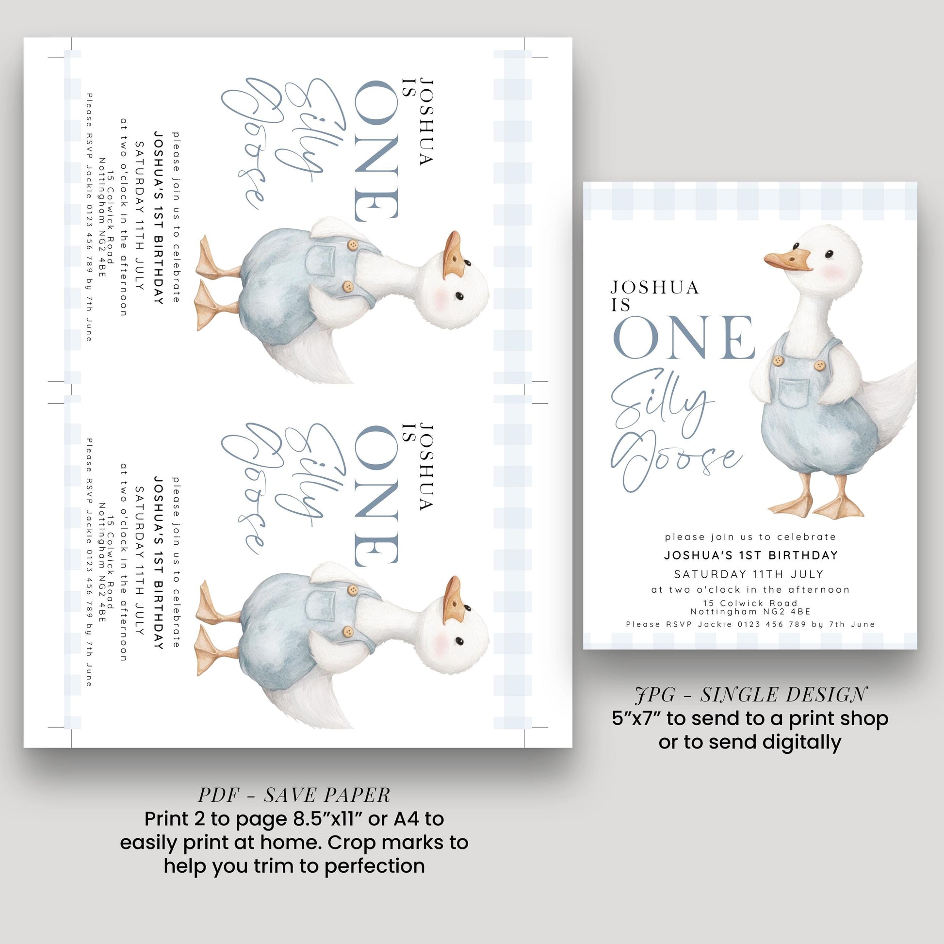 One Silly Goose Birthday Invitation Boy Blue Gingham, Editable Corjl Template, One Silly Goose 1st Birthday Invite, Digital Download SG21
