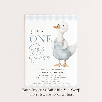 One Silly Goose Birthday Invitation Boy Blue Gingham, Editable Corjl Template, One Silly Goose 1st Birthday Invite, Digital Download SG21