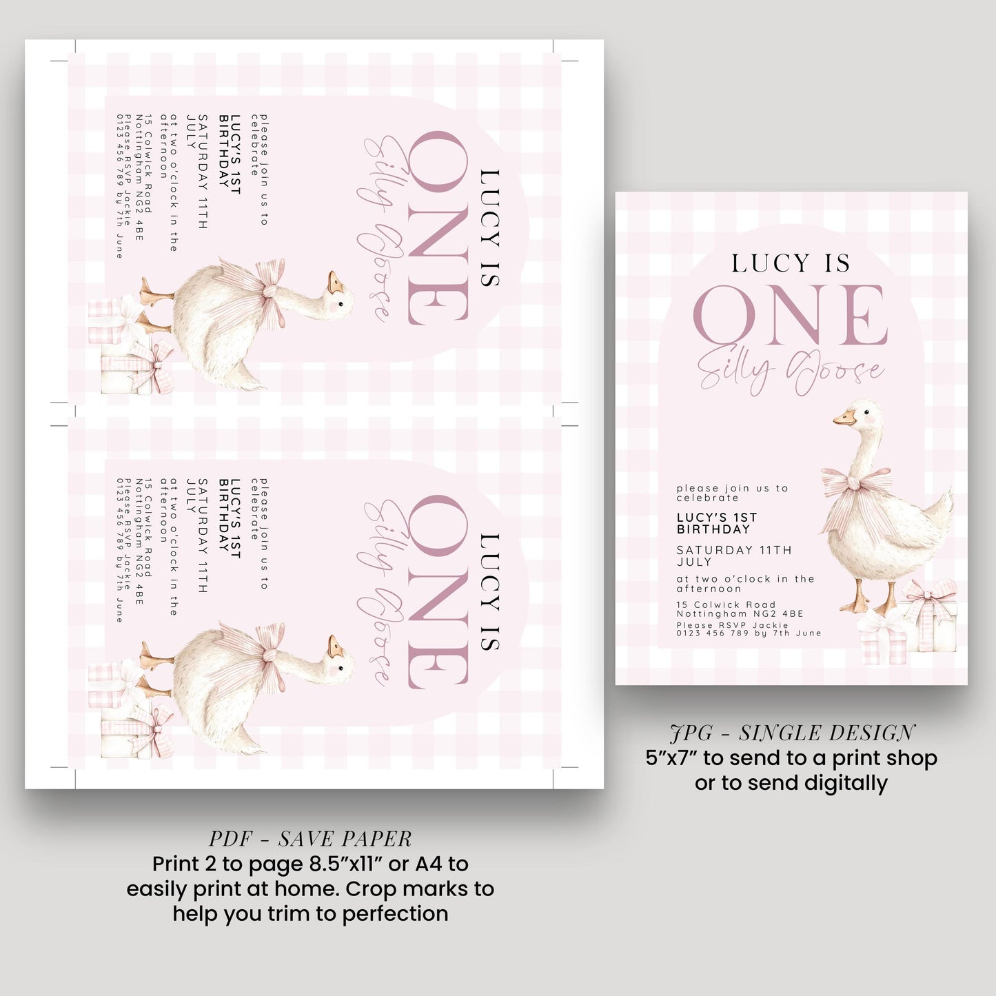 One Silly Goose Birthday Invitation, Pink Gingham Silly Little Goose Invitation, Classic Baby Birthday Goose Invite, Digital Download SG21