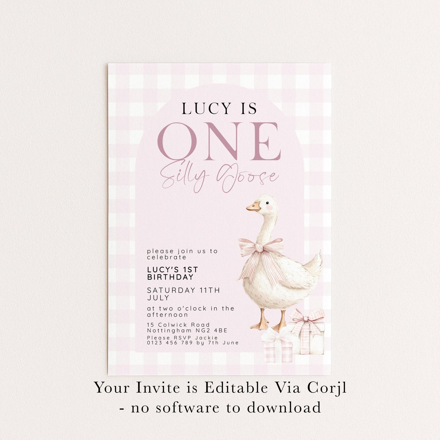 One Silly Goose Birthday Invitation, Pink Gingham Silly Little Goose Invitation, Classic Baby Birthday Goose Invite, Digital Download SG21
