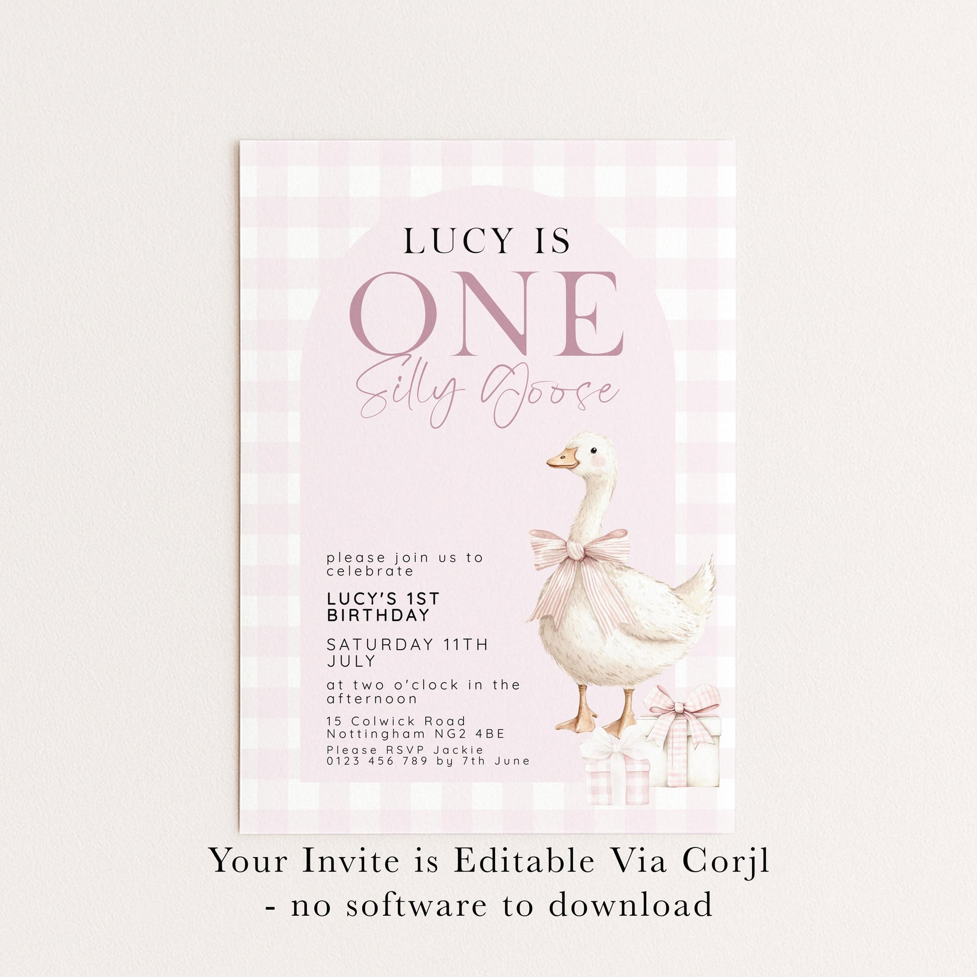 One Silly Goose Birthday Invitation, Pink Gingham Silly Little Goose Invitation, Classic Baby Birthday Goose Invite, Digital Download SG21