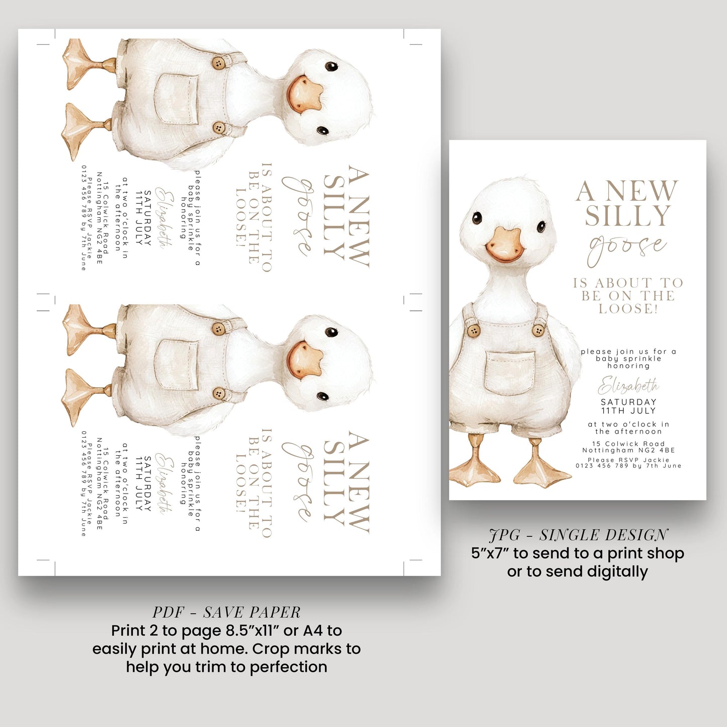 Silly Goose Baby Sprinkle Invitation Download – Neutral Baby Shower Digital Download Invite, Gender Neutral Editable Printable Template SG21