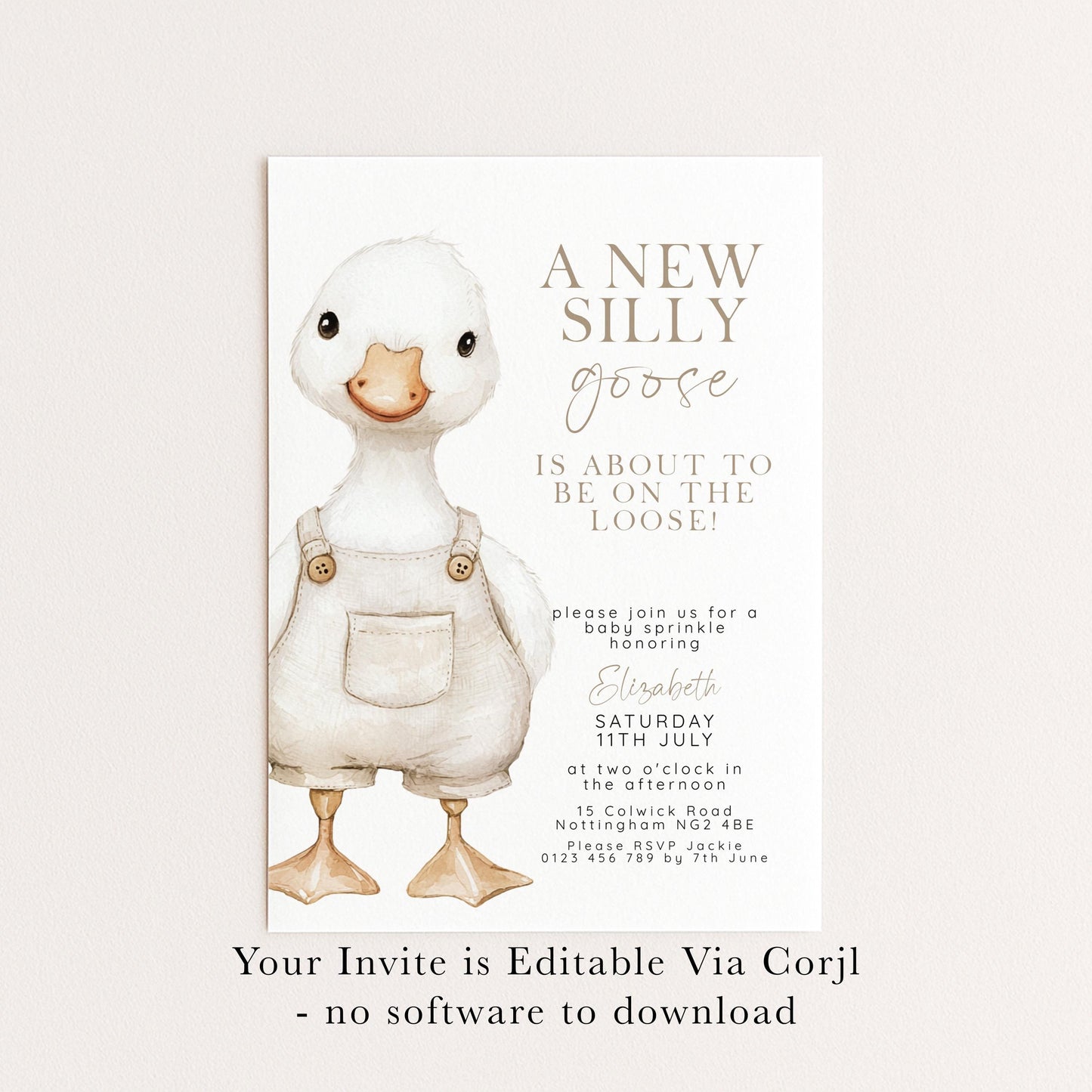 Silly Goose Baby Sprinkle Invitation Download – Neutral Baby Shower Digital Download Invite, Gender Neutral Editable Printable Template SG21