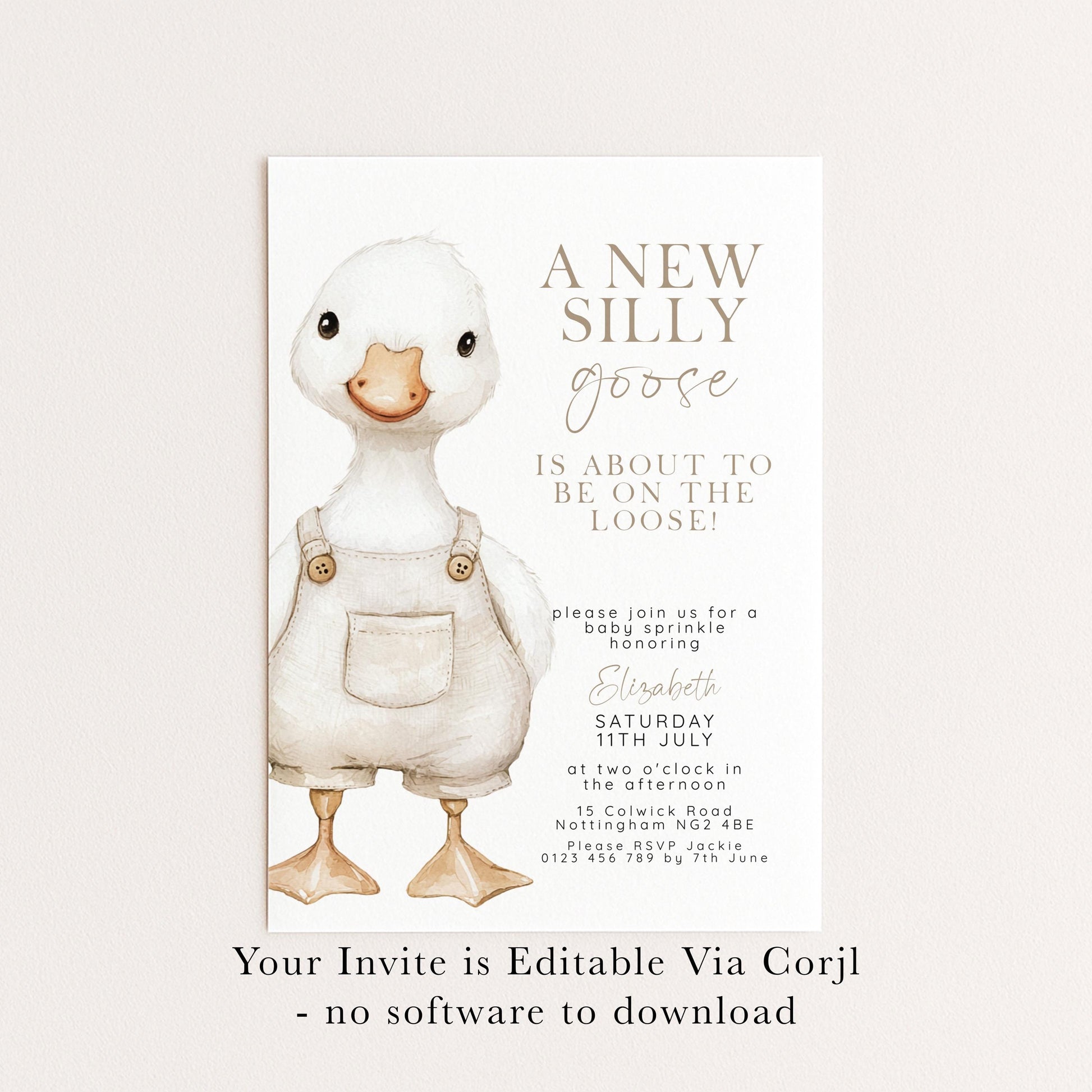 Silly Goose Baby Sprinkle Invitation Download – Neutral Baby Shower Digital Download Invite, Gender Neutral Editable Printable Template SG21