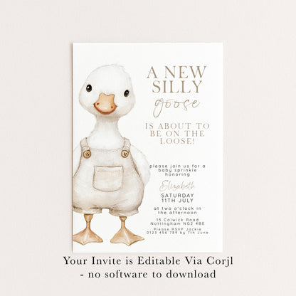 Silly Goose Baby Sprinkle Invitation Download – Neutral Baby Shower Digital Download Invite, Gender Neutral Editable Printable Template SG21