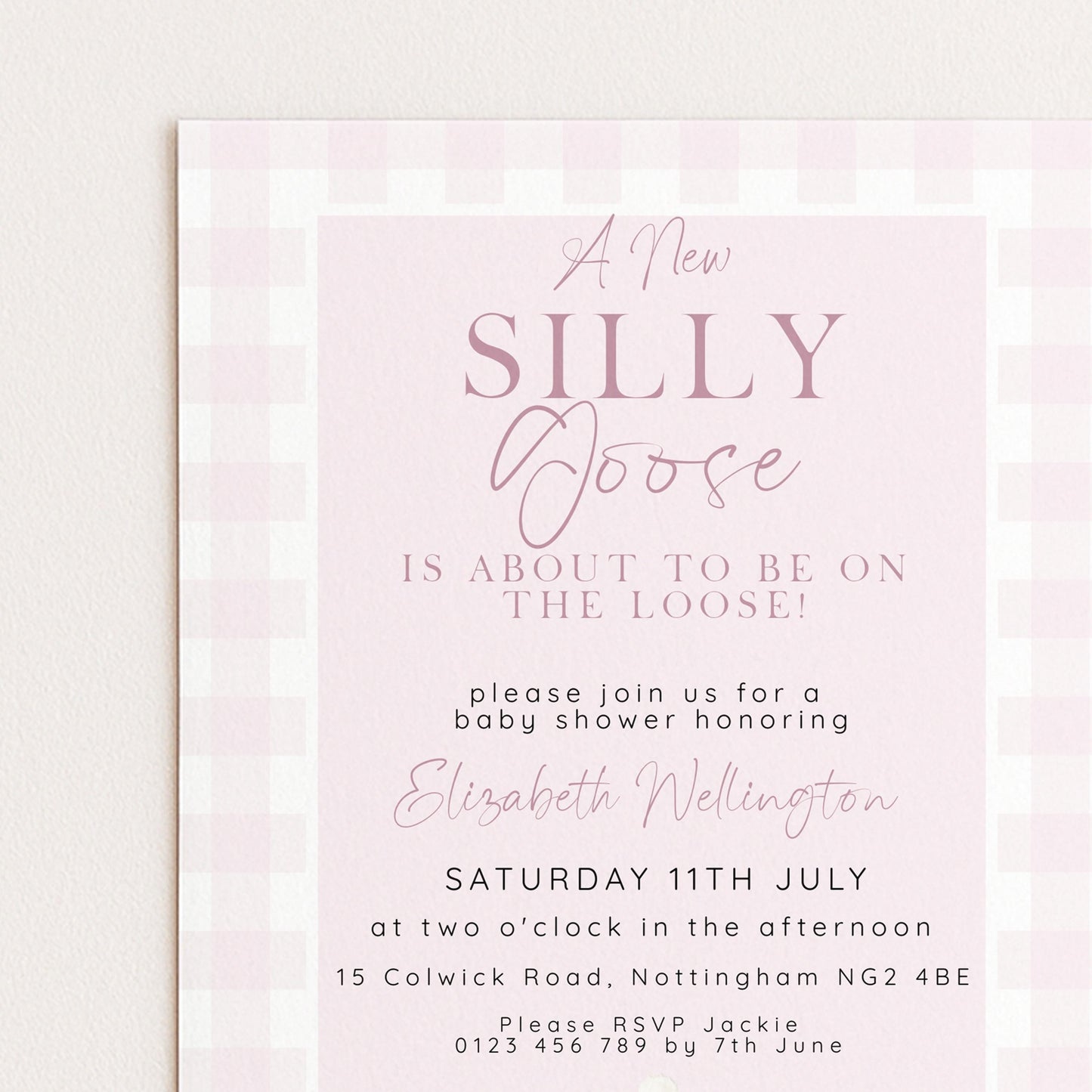 Silly Goose Baby Shower Invitations Girl, Editable Corjl Template, Pink Gingham Baby Sprinkle Invite, Printable Digital Download SG21