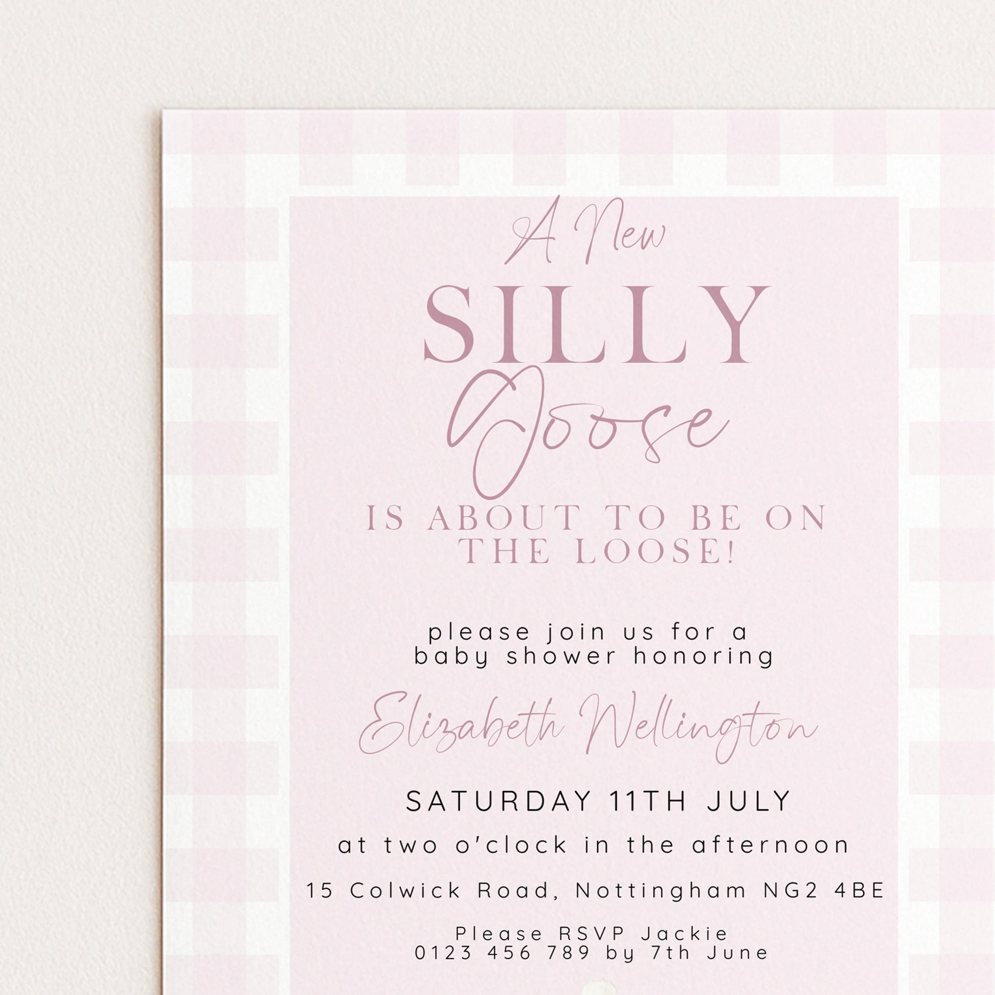 Silly Goose Baby Shower Invitations Girl, Editable Corjl Template, Pink Gingham Baby Sprinkle Invite, Printable Digital Download SG21