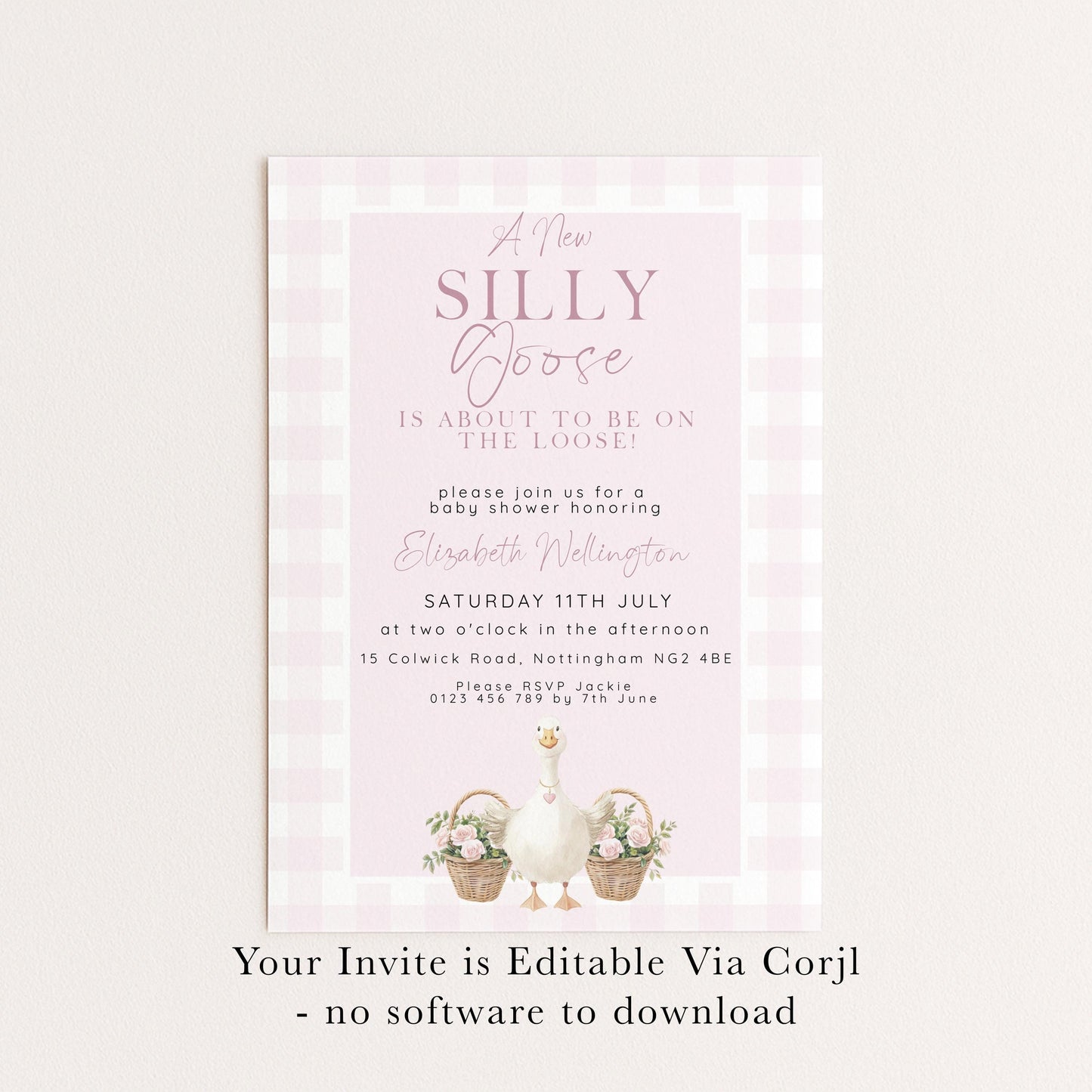 Silly Goose Baby Shower Invitations Girl, Editable Corjl Template, Pink Gingham Baby Sprinkle Invite, Printable Digital Download SG21
