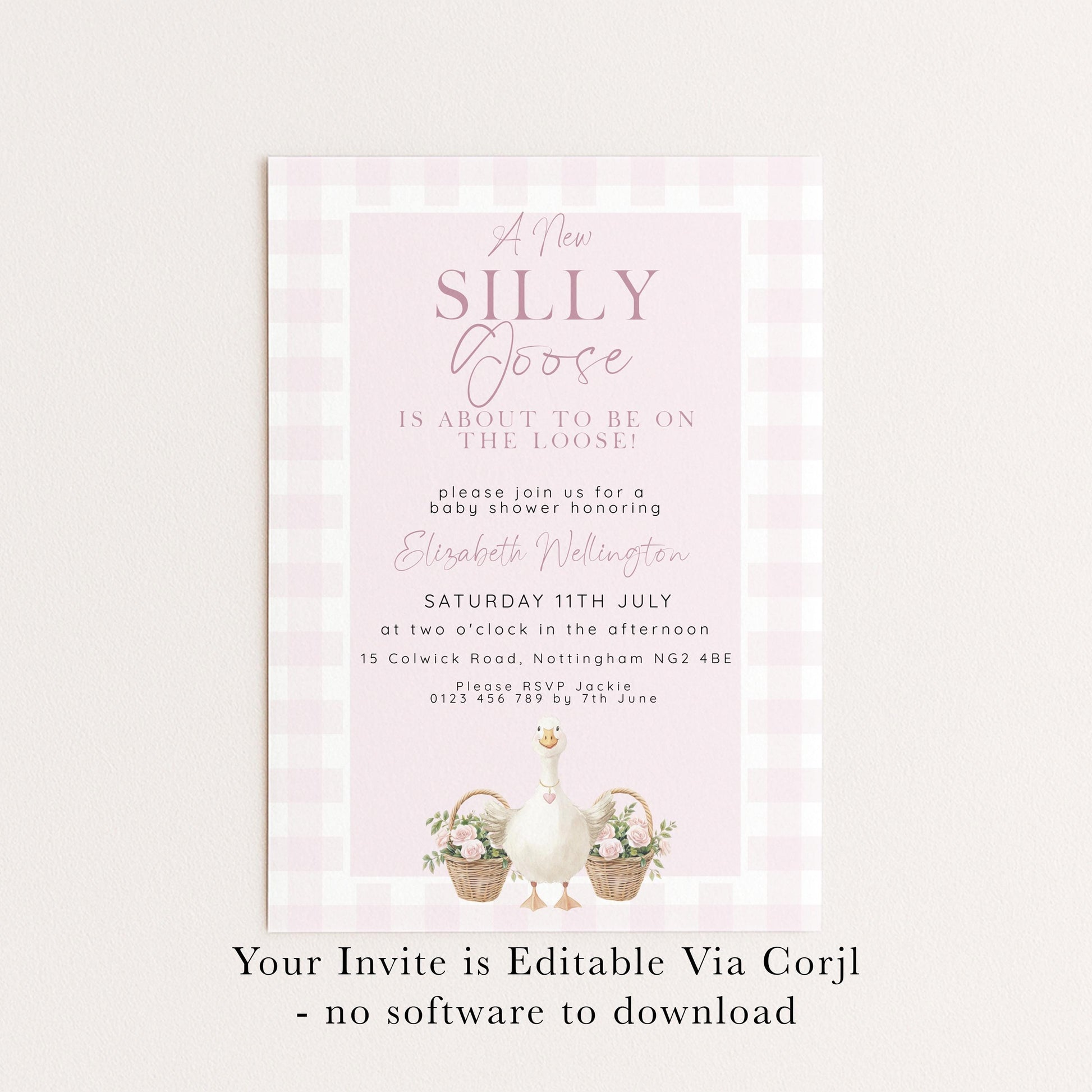 Silly Goose Baby Shower Invitations Girl, Editable Corjl Template, Pink Gingham Baby Sprinkle Invite, Printable Digital Download SG21