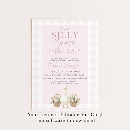 Silly Goose Baby Shower Invitations Girl, Editable Corjl Template, Pink Gingham Baby Sprinkle Invite, Printable Digital Download SG21