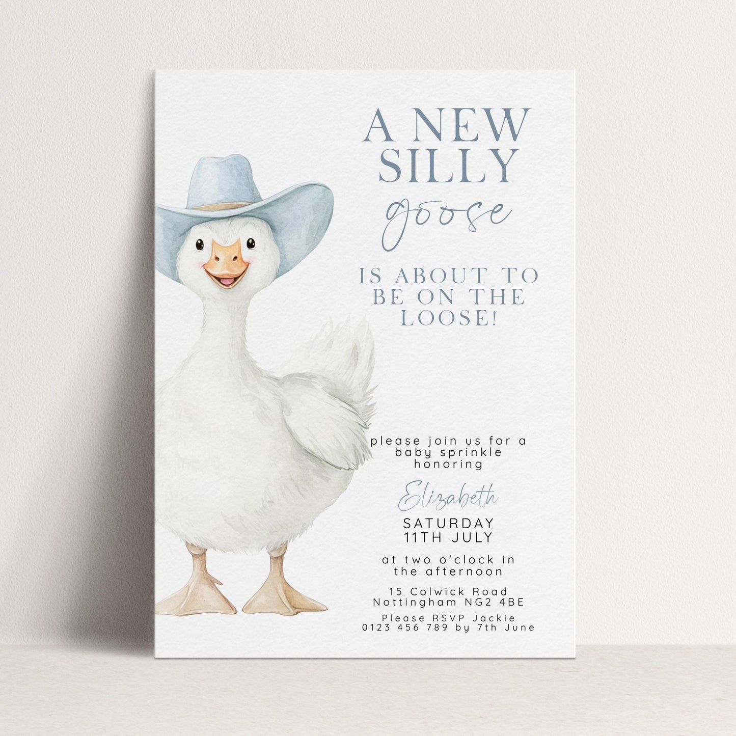 Silly Goose Baby Sprinkle Invitation Boy, Editable Corjl Template, Blue Gingham Baby Party Invite, Printable Digital Download SG21