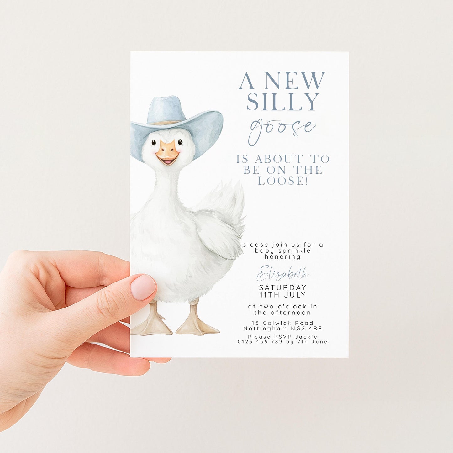 Silly Goose Baby Sprinkle Invitation Boy, Editable Corjl Template, Blue Gingham Baby Party Invite, Printable Digital Download SG21