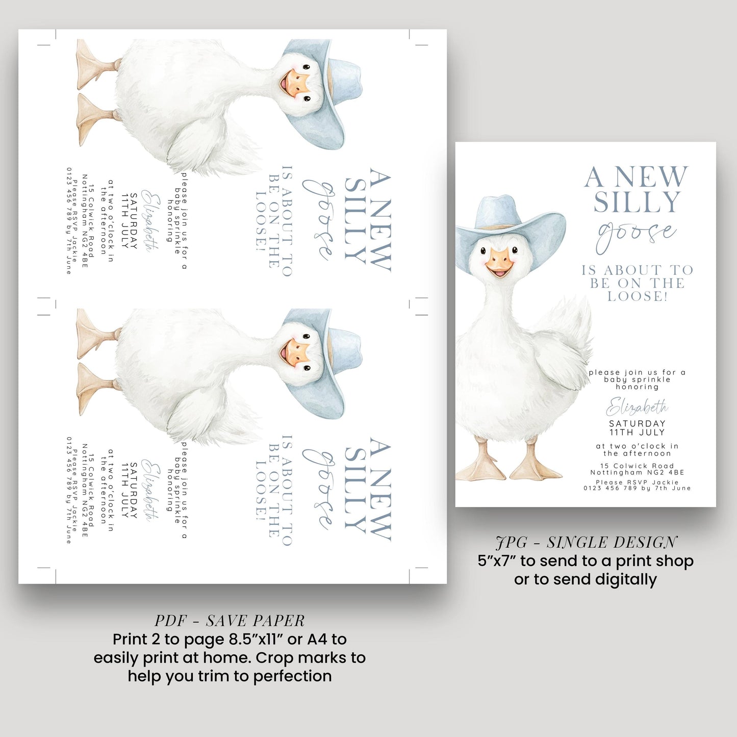 Silly Goose Baby Sprinkle Invitation Boy, Editable Corjl Template, Blue Gingham Baby Party Invite, Printable Digital Download SG21