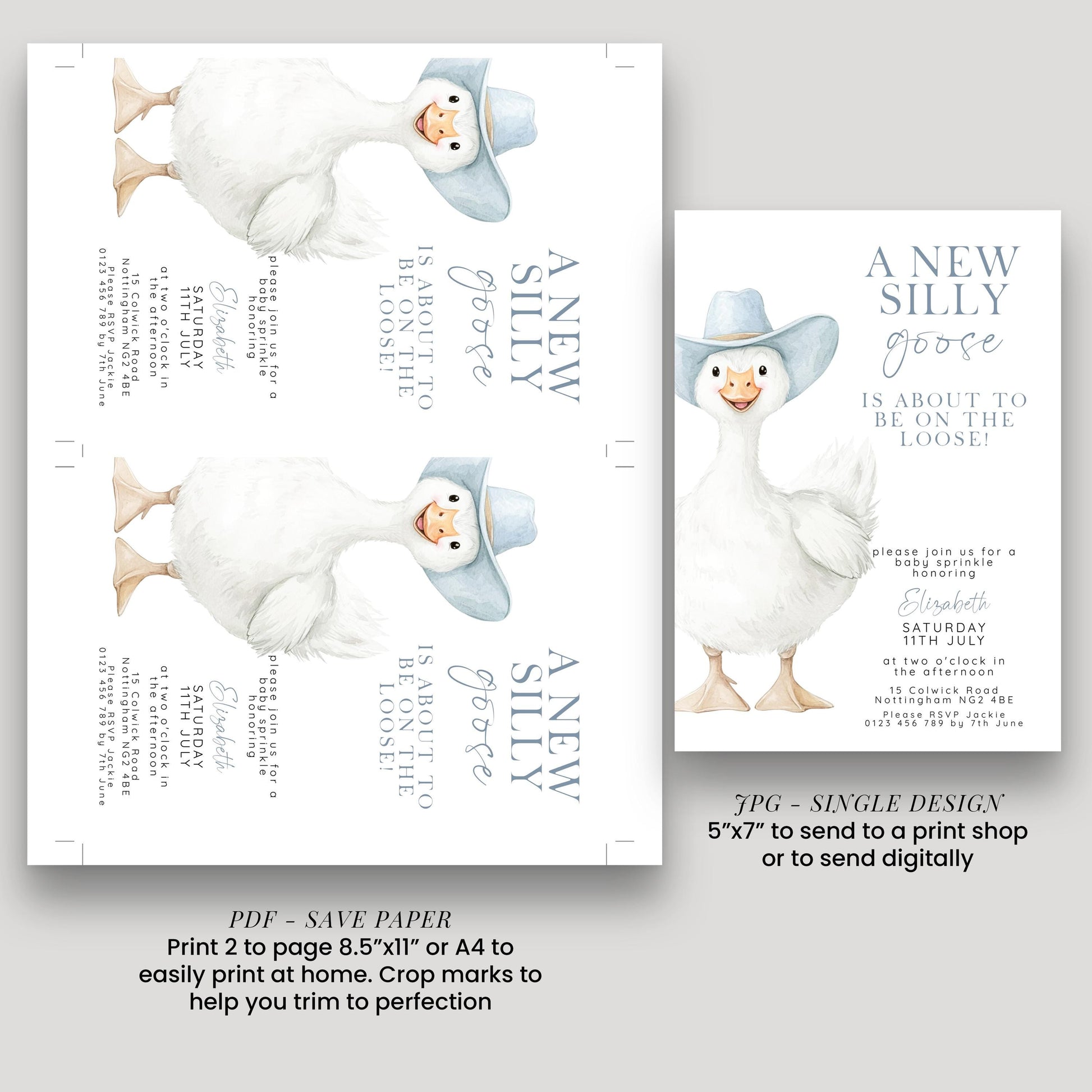 Silly Goose Baby Sprinkle Invitation Boy, Editable Corjl Template, Blue Gingham Baby Party Invite, Printable Digital Download SG21