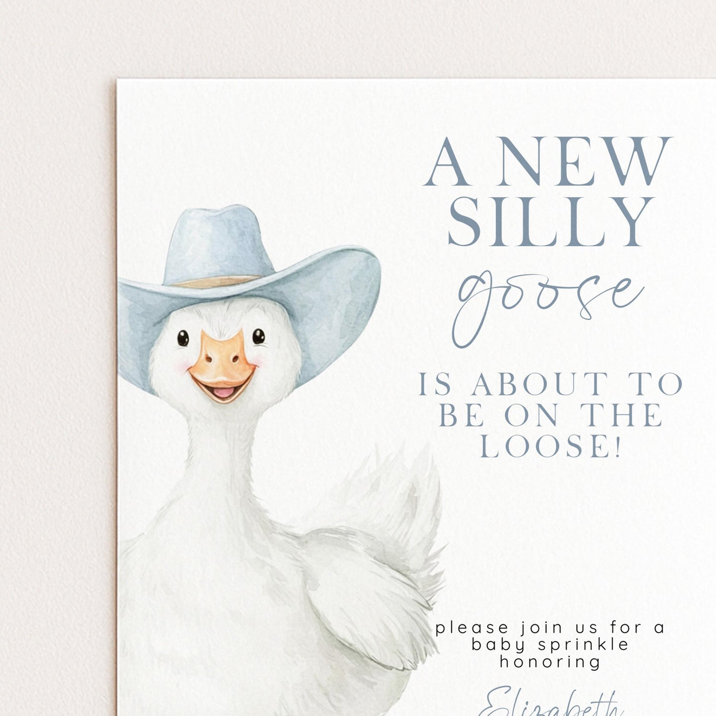 Silly Goose Baby Sprinkle Invitation Boy, Editable Corjl Template, Blue Gingham Baby Party Invite, Printable Digital Download SG21