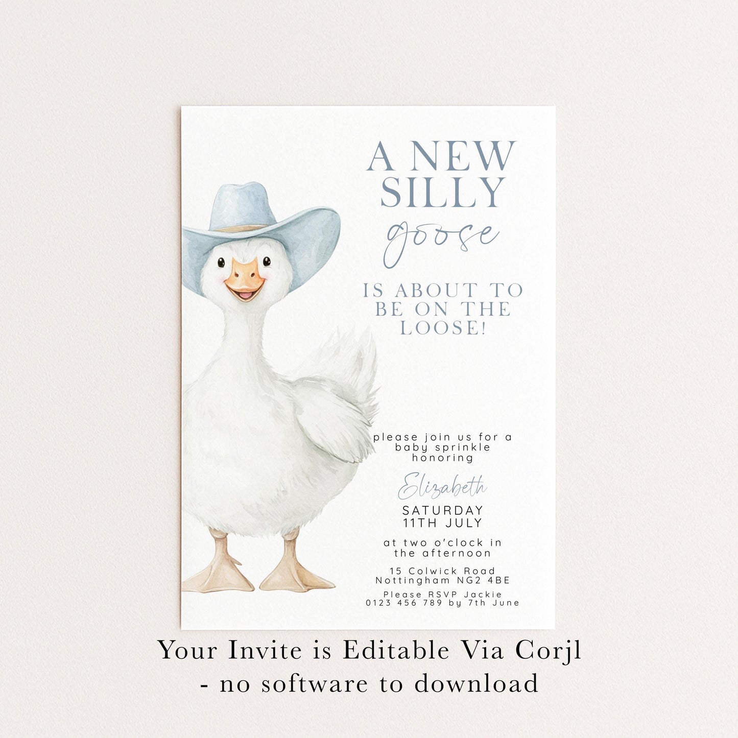 Silly Goose Baby Sprinkle Invitation Boy, Editable Corjl Template, Blue Gingham Baby Party Invite, Printable Digital Download SG21