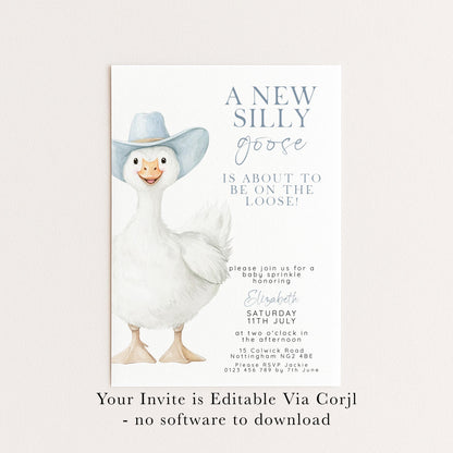 Silly Goose Baby Sprinkle Invitation Boy, Editable Corjl Template, Blue Gingham Baby Party Invite, Printable Digital Download SG21