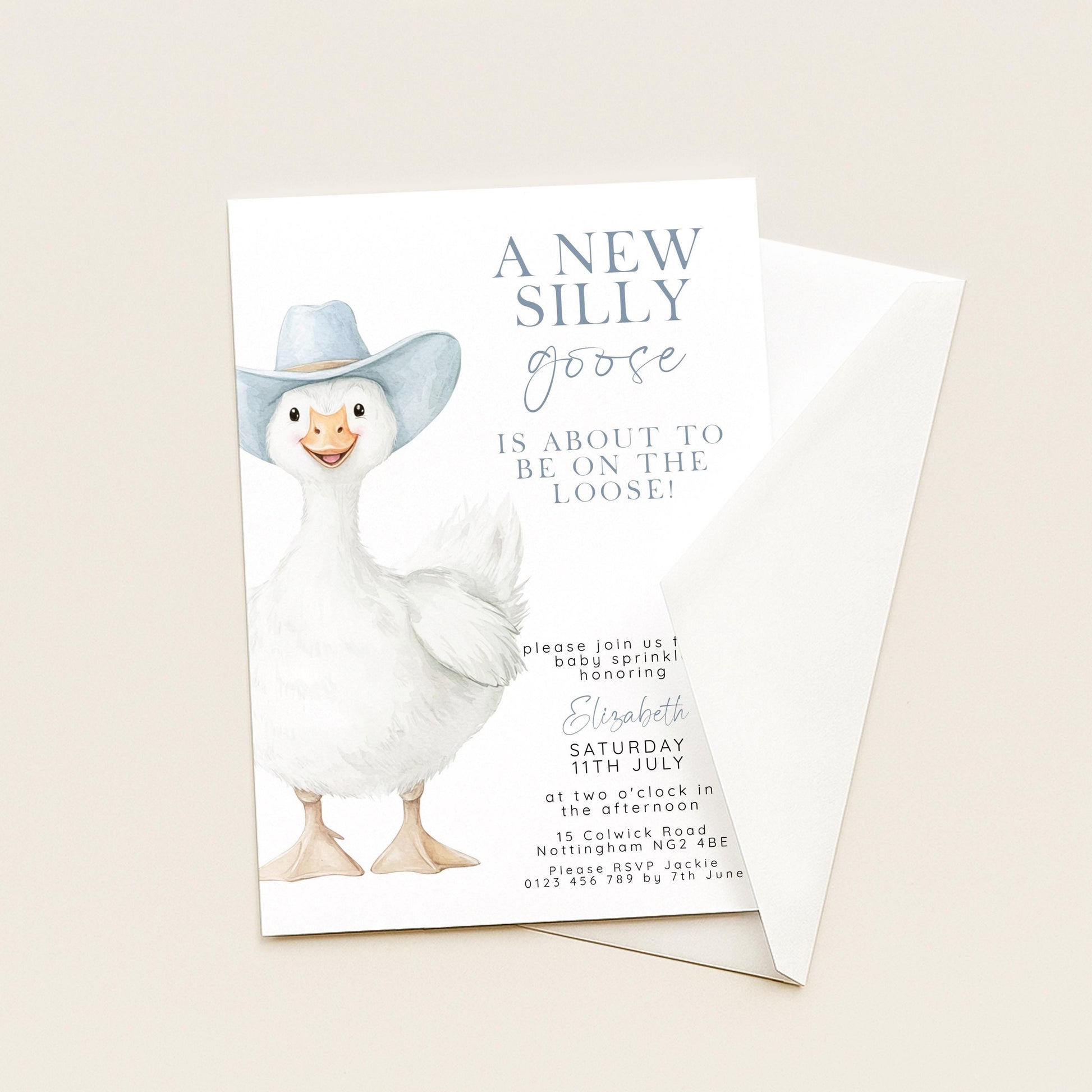 Silly Goose Baby Sprinkle Invitation Boy, Editable Corjl Template, Blue Gingham Baby Party Invite, Printable Digital Download SG21