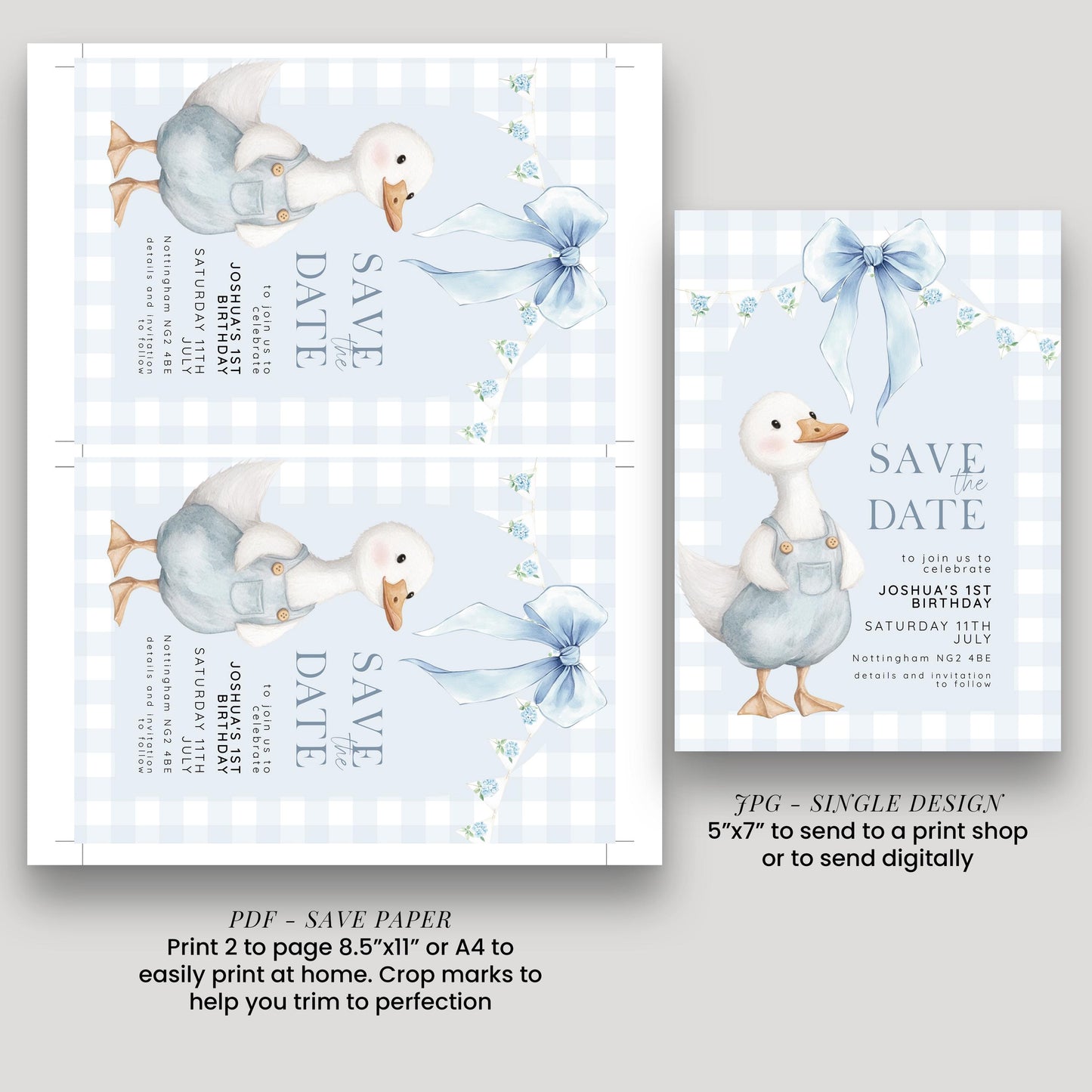 Silly Goose Save the Date Card for 1st Birthday Boy Blue Gingham Editable Template Goose Party Printable Invite Corjl Download SG21