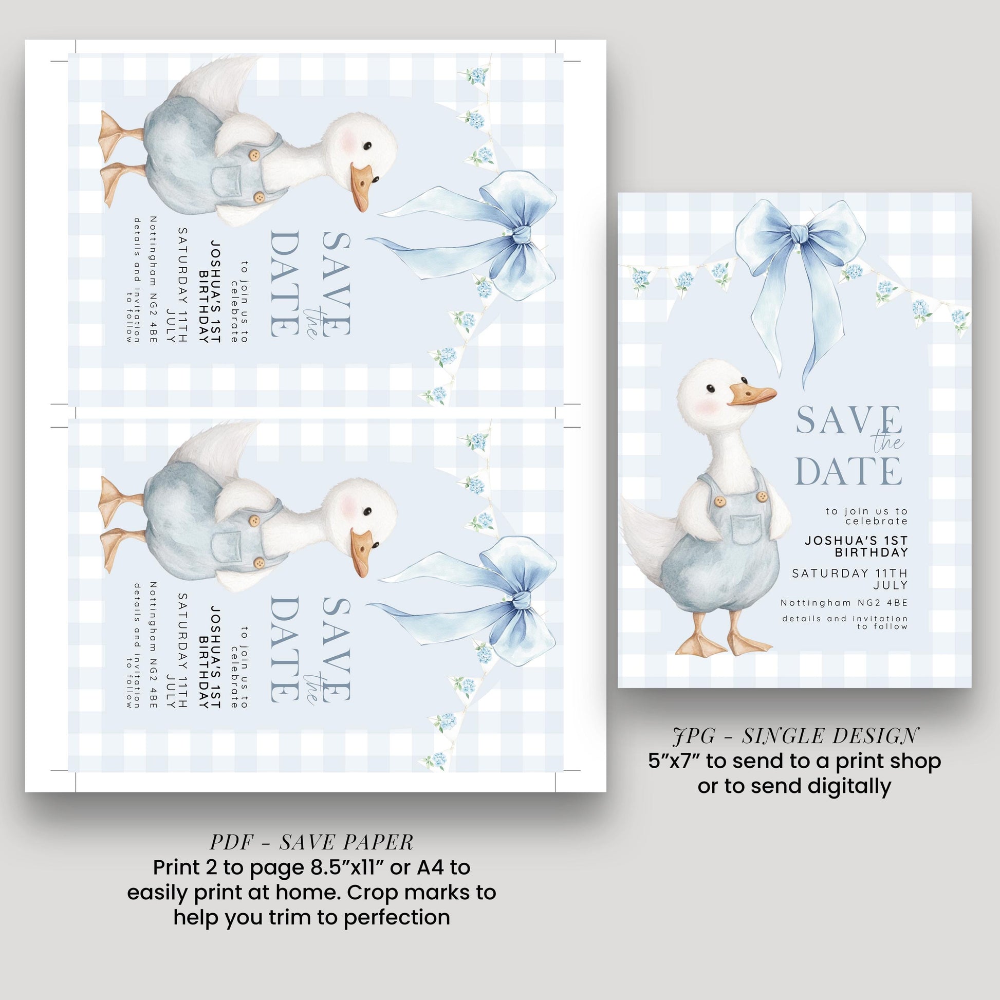 Silly Goose Save the Date Card for 1st Birthday Boy Blue Gingham Editable Template Goose Party Printable Invite Corjl Download SG21
