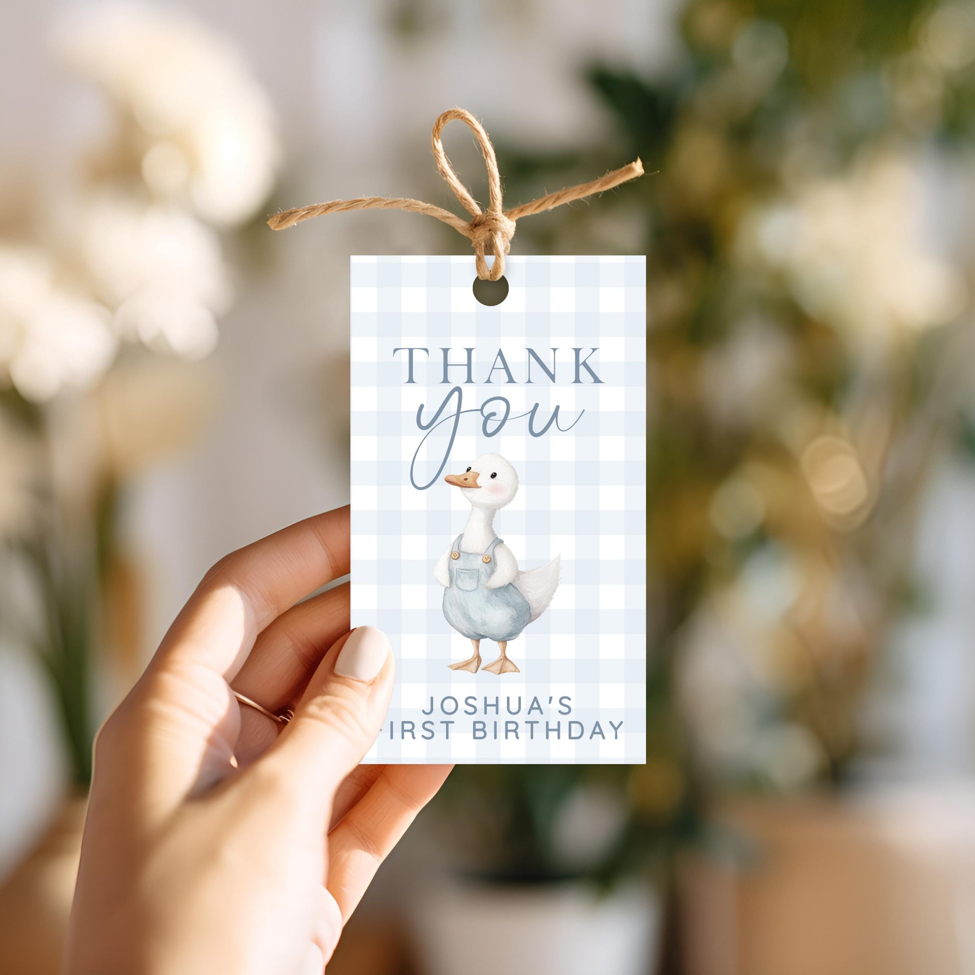 Silly Goose Thank You Tag Blue, Gingham 1st Birthday Favor Tag Template for Boys, Editable Corjl Goose Gift Tag Instant Download SG21
