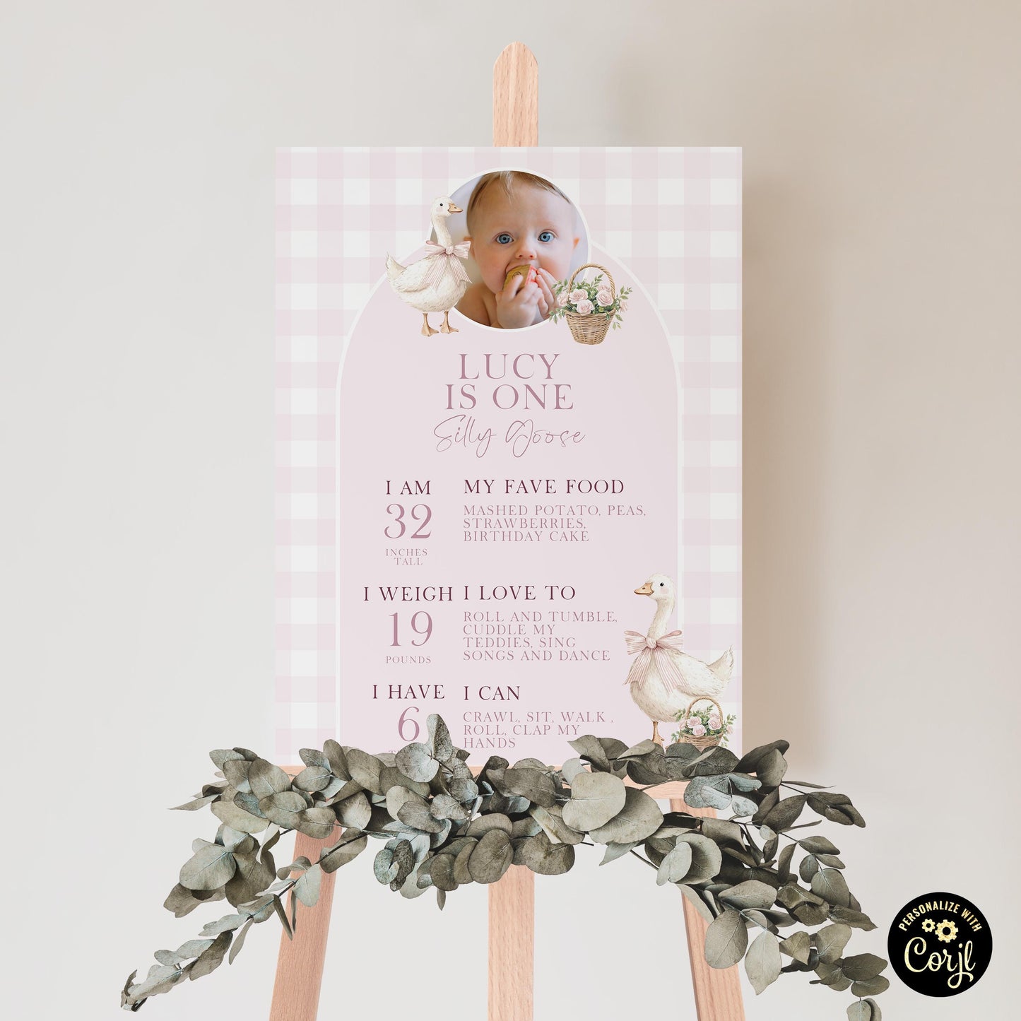 Silly Goose Birthday Milestone Sign Pink Girl First Birthday Poster Add Own Photo Template Editable 8x10 16x20 18x24 24x35 Sizes SG21