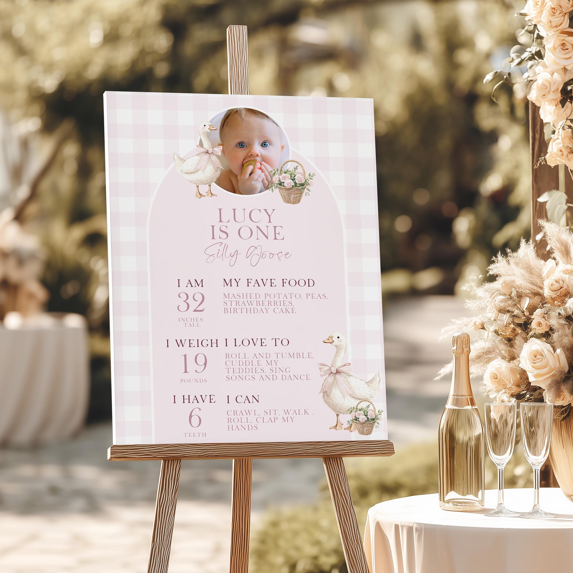 Silly Goose Birthday Milestone Sign Pink Girl First Birthday Poster Add Own Photo Template Editable 8x10 16x20 18x24 24x35 Sizes SG21