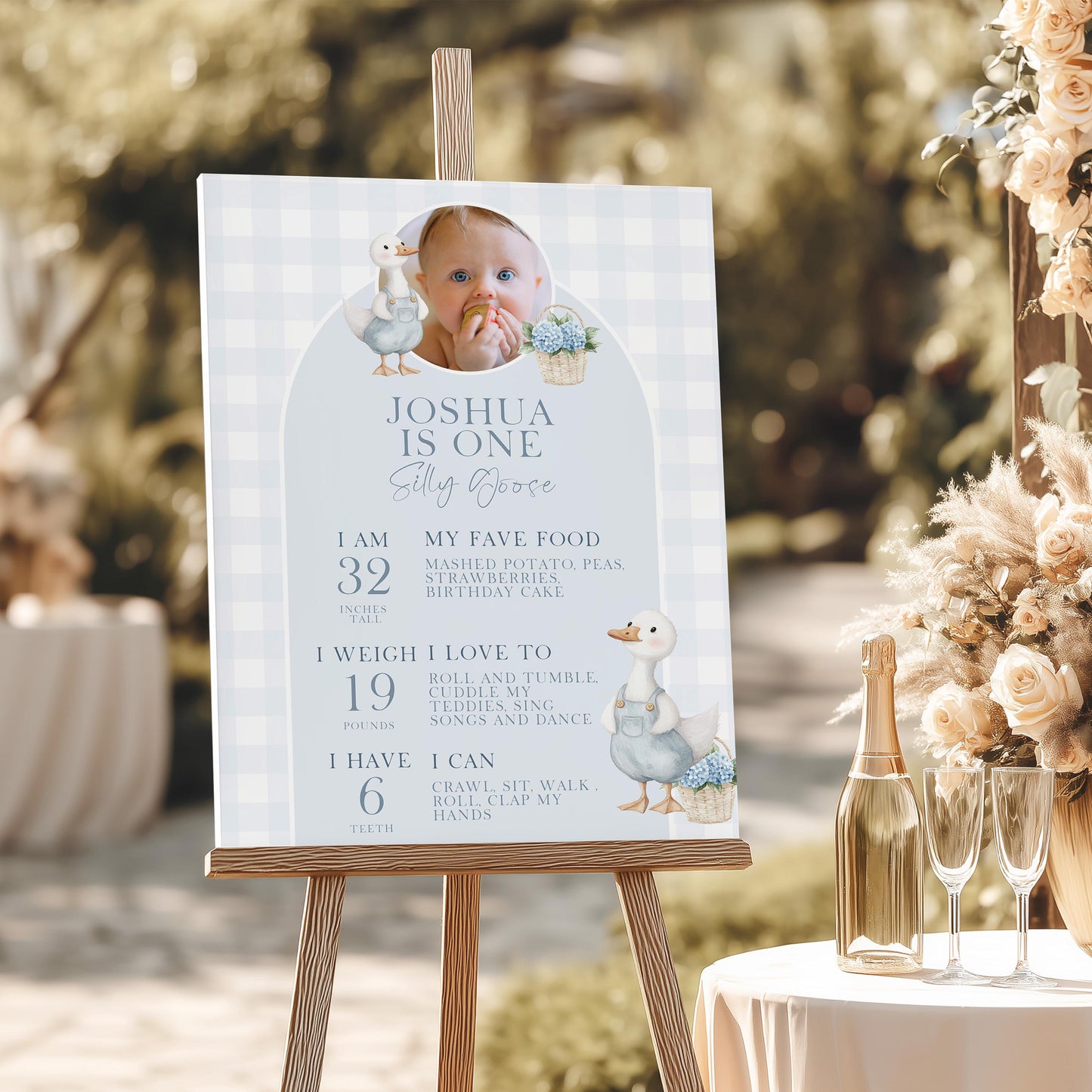 Silly Goose Birthday Milestone Sign Blue Boy First Birthday Poster Add Own Photo Template Editable 8x10 16x20 18x24 24x35 Sizes SG21