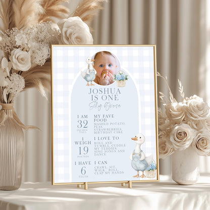 Silly Goose Birthday Milestone Sign Blue Boy First Birthday Poster Add Own Photo Template Editable 8x10 16x20 18x24 24x35 Sizes SG21