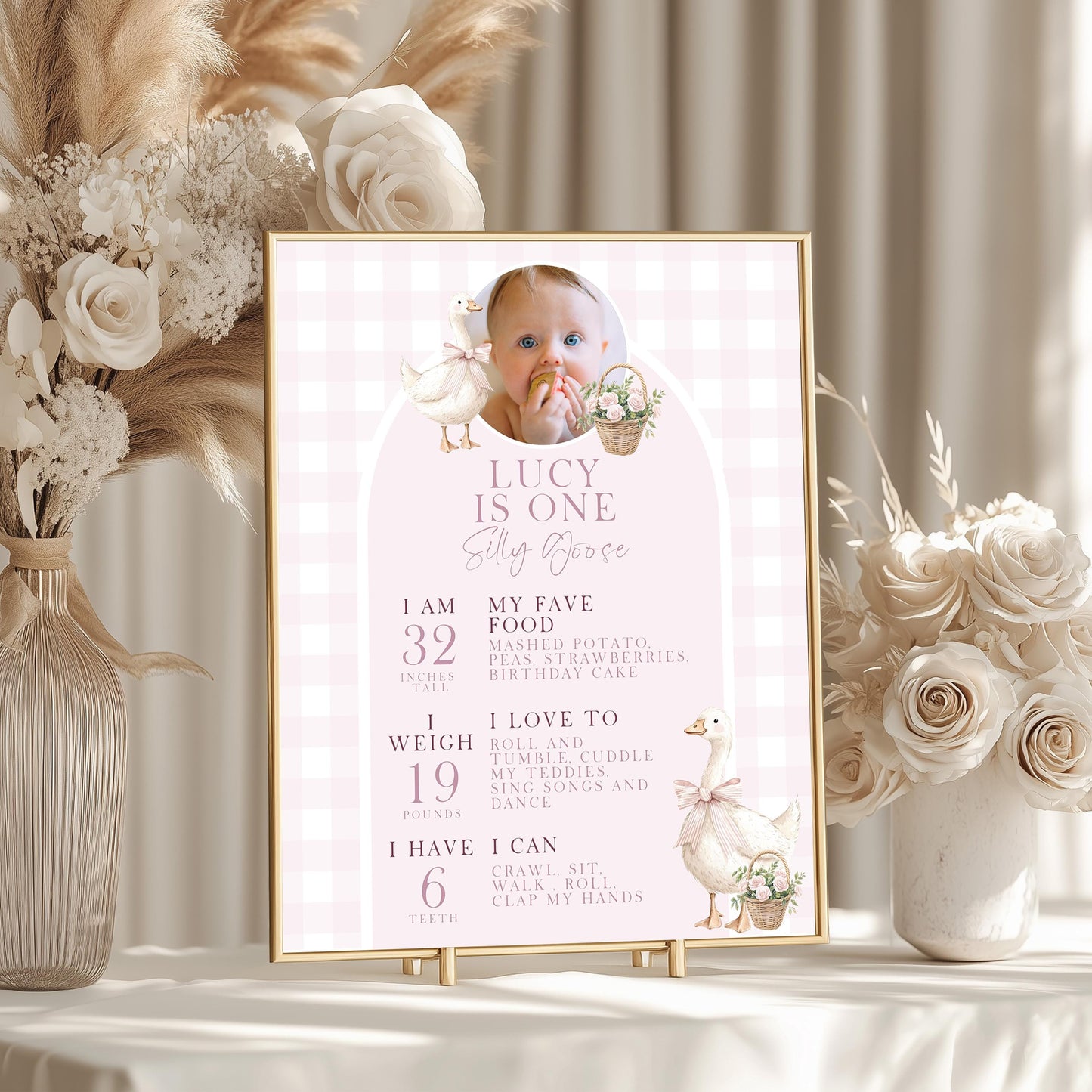 Silly Goose Birthday Milestone Sign Pink Girl First Birthday Poster Add Own Photo Template Editable 8x10 16x20 18x24 24x35 Sizes SG21
