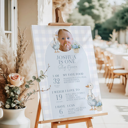 Silly Goose Birthday Milestone Sign Blue Boy First Birthday Poster Add Own Photo Template Editable 8x10 16x20 18x24 24x35 Sizes SG21