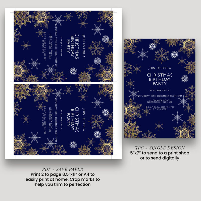 Christmas Birthday Party Invitation 8