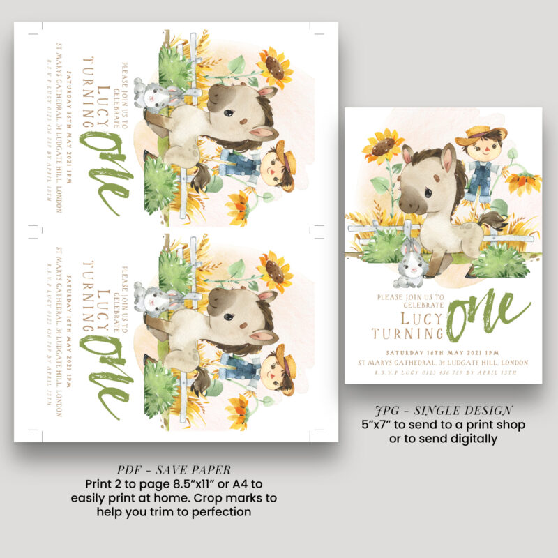 Pony 1st Birthday Invitation 8