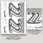 22 silver 80