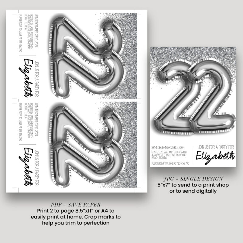 22 silver 80