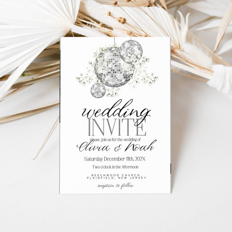 gypsophila A5 113