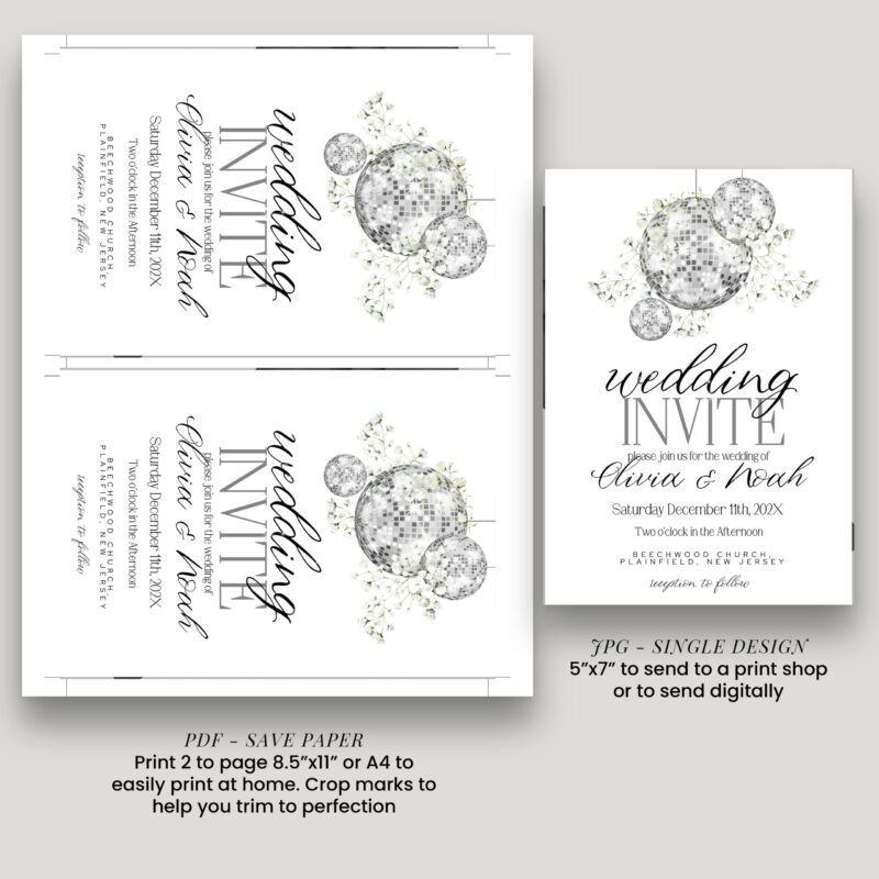 gypsophila A5 92