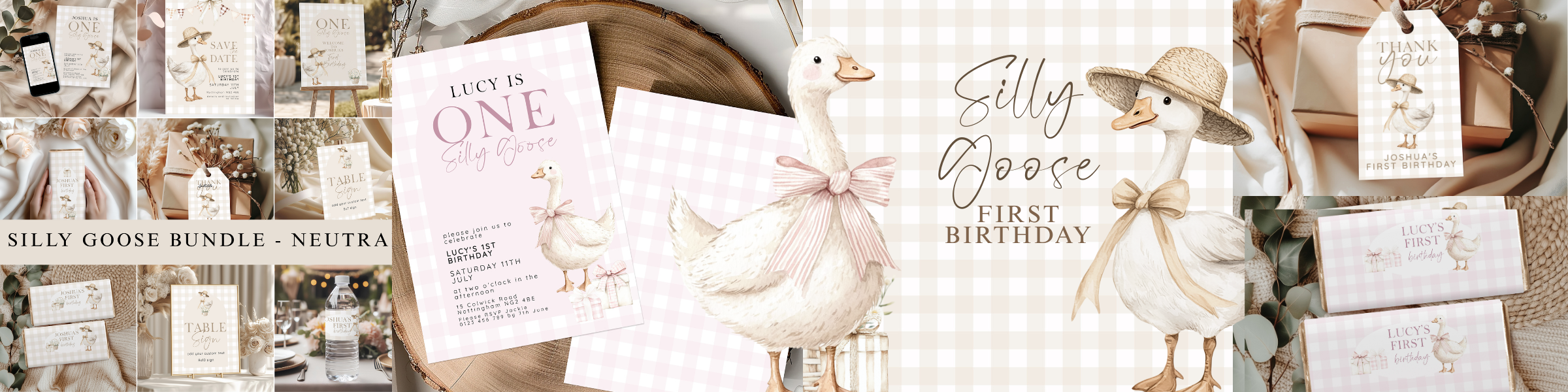 Silly Goose Birthday