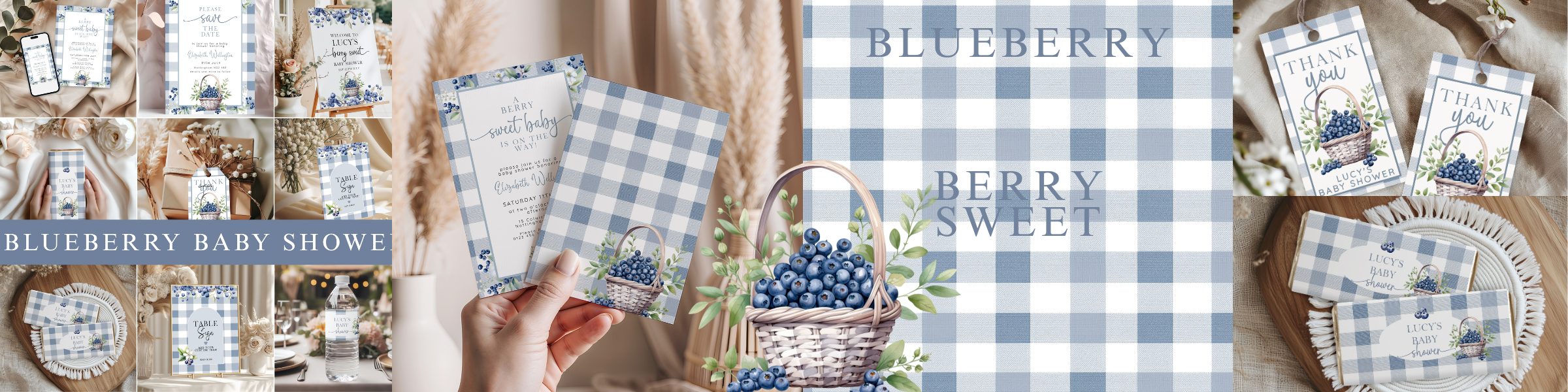 blue berry baby shower