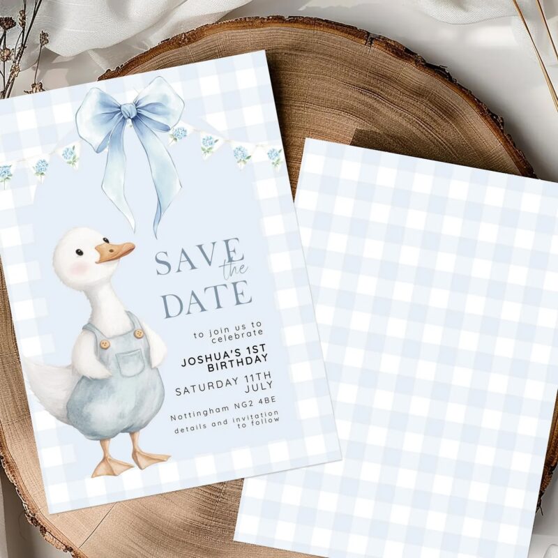 blue silly goose save the date3