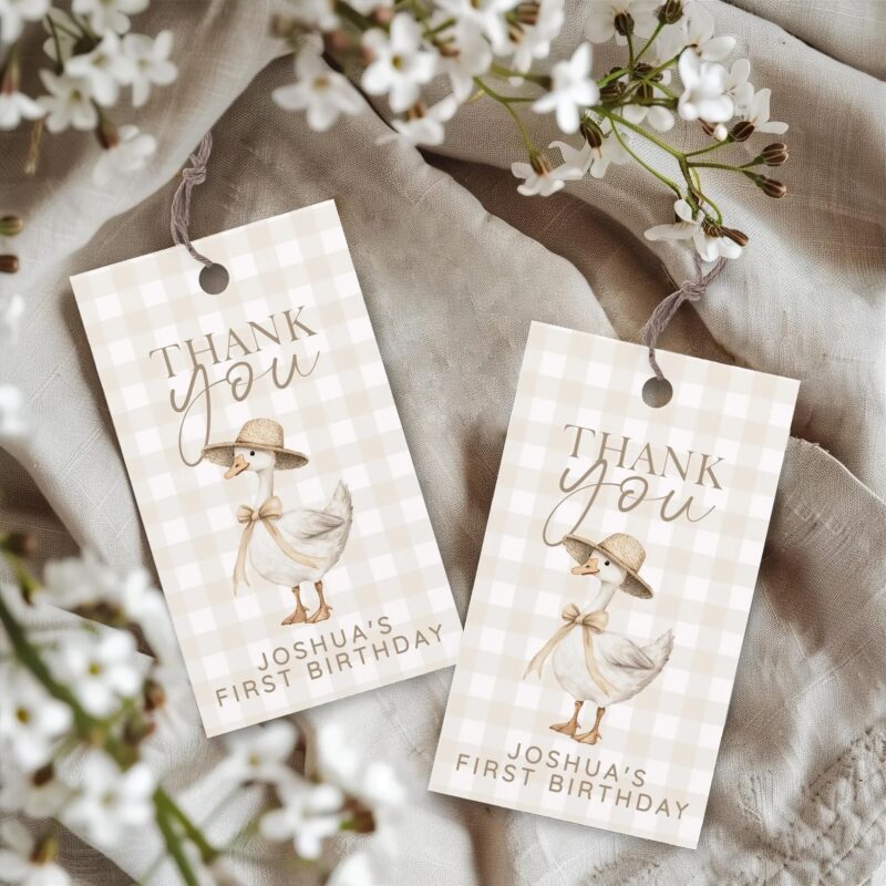 one silly goose bundle 3